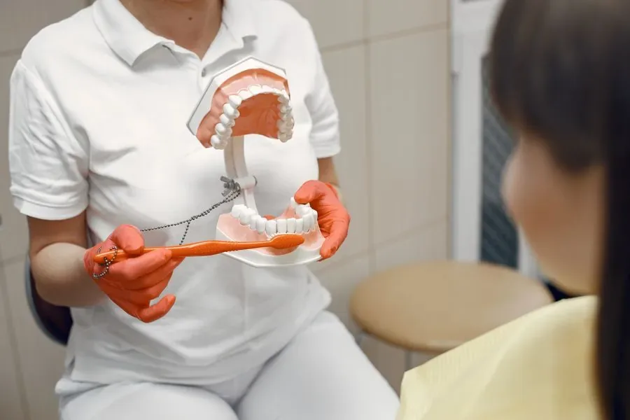 Diş hekimi hastaya diş modeli üzerinde fırçalamayı gösteriyor